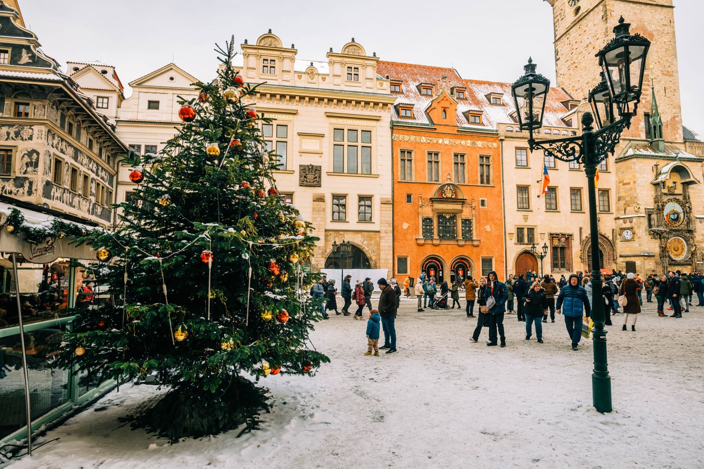 A winter full of wonder